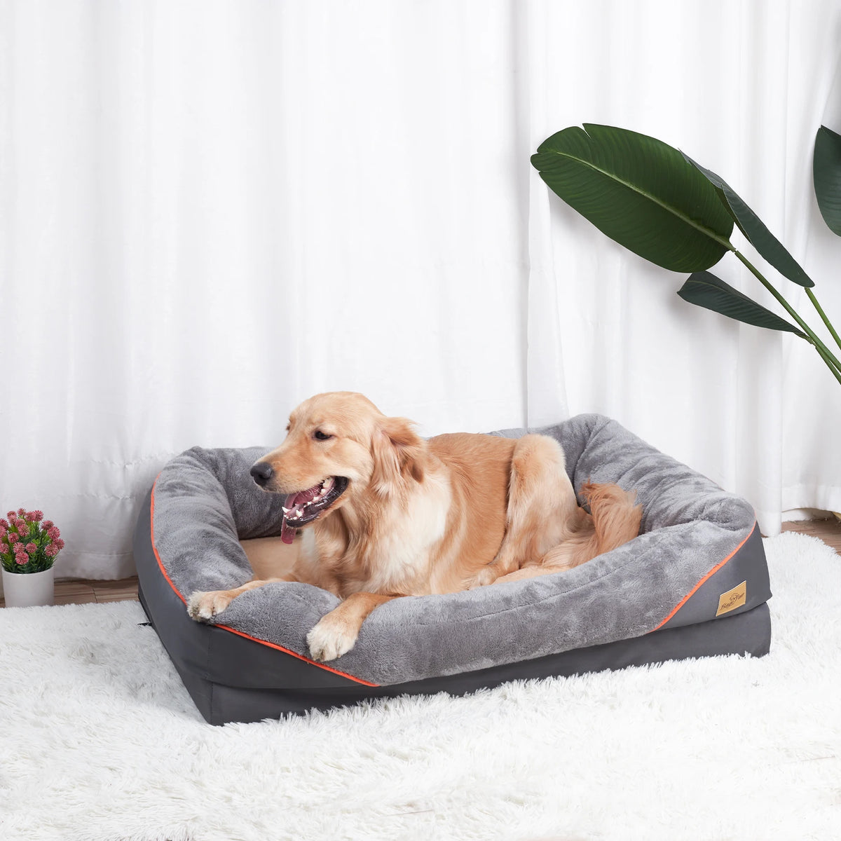 BINGOPAW Dog Bed With Removable Washable Cover Anti Allergy Waterproof
